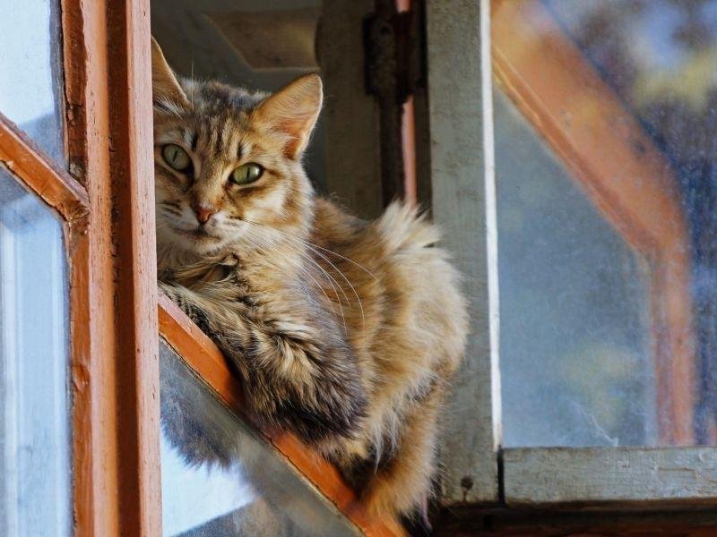 Telas de proteção para Sacadas em Londrina