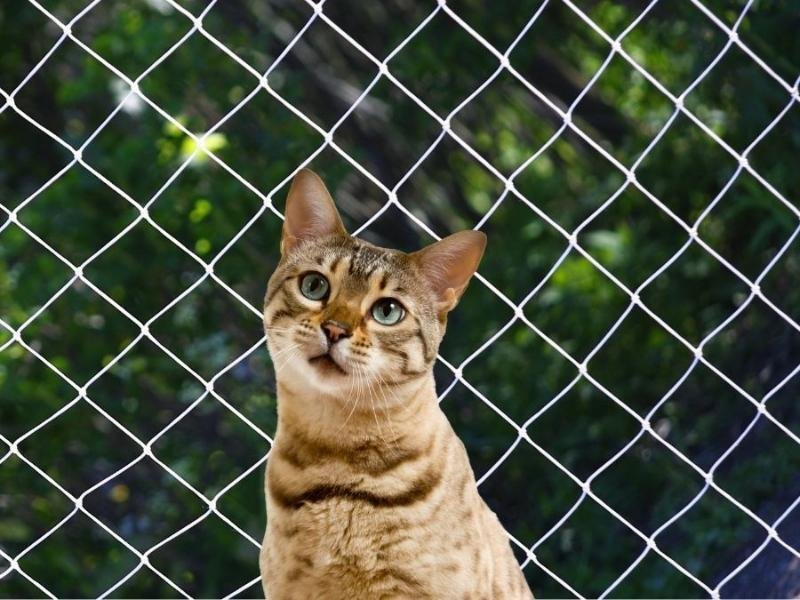 Telas de proteção para quadras em Londrina