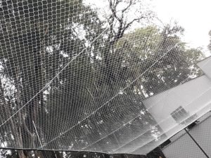 Telas de segurança para creches em Londrina