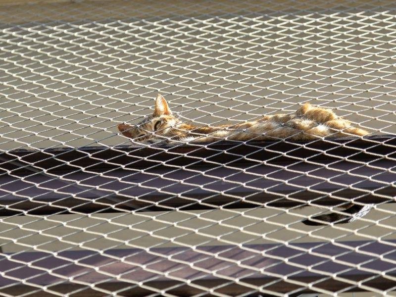 Rede protetiva para Janelas, Sacadas e Piscinas em Sabáudia Rede protetiva para Janelas, Sacadas e Piscinas em Sabáudia