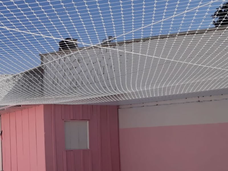 Tela de Proteção para Gatos em Rolândia Tela de Proteção para Gatos em Rolândia